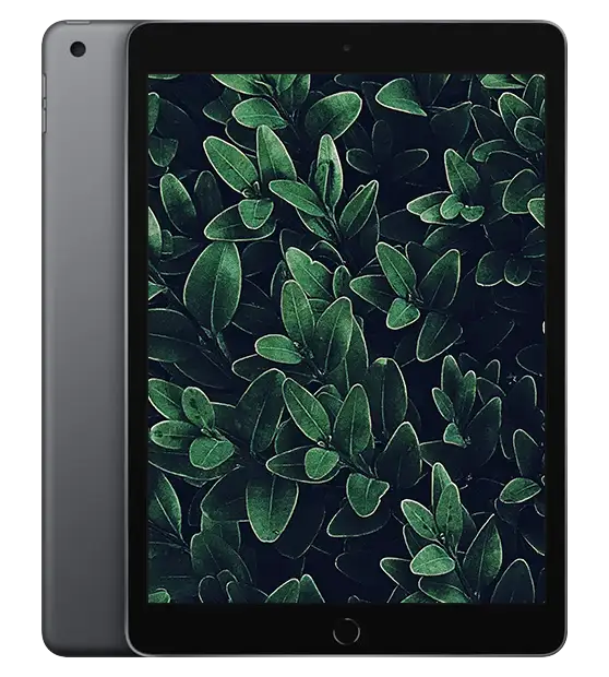 iPad 7, Rymdgrå