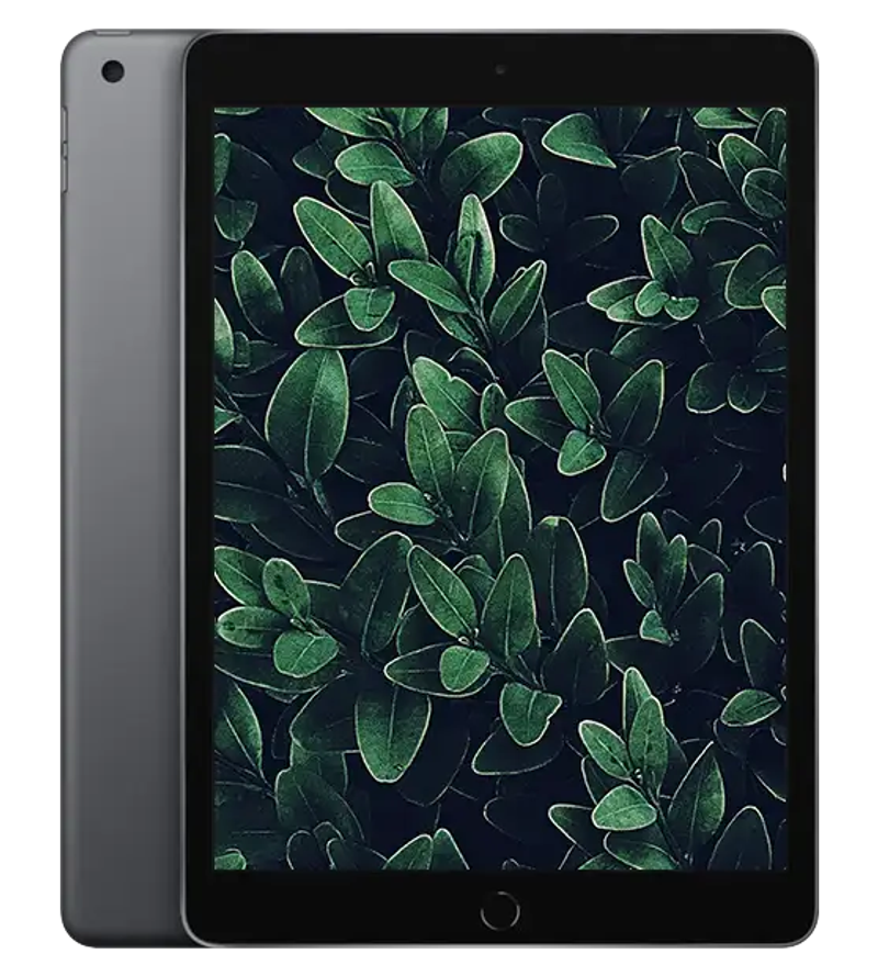 iPad 7, Rymdgrå