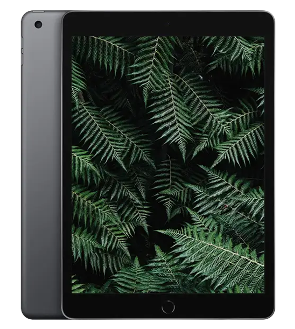iPad 9 2021 Rymdgrå