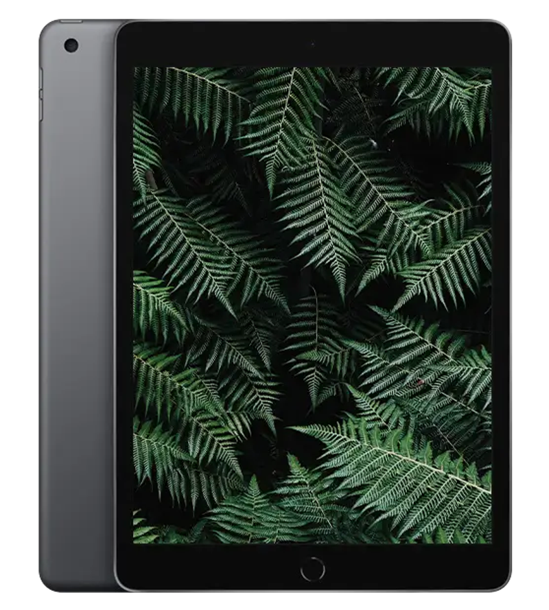 iPad 9 2021 Rymdgrå