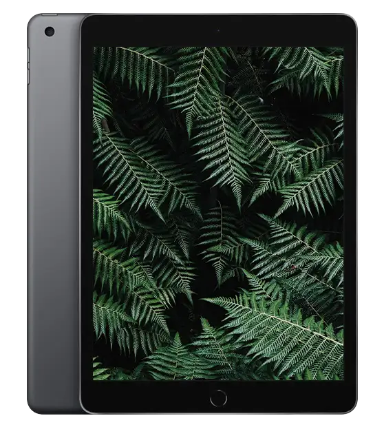 iPad 9 2021 Rymdgrå