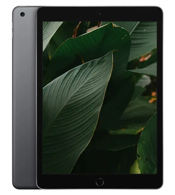 iPad 8, Rymdgrå