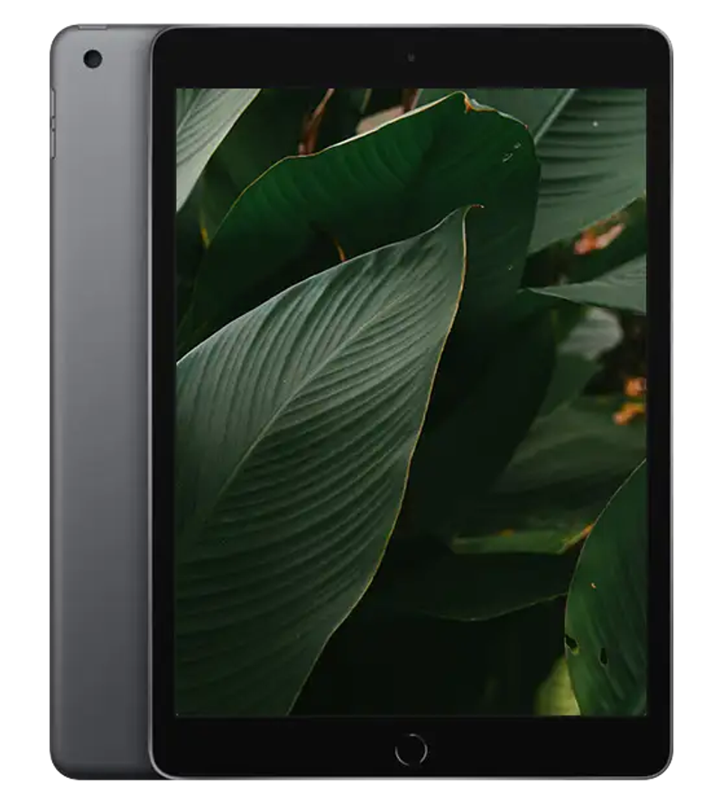 iPad 8, Rymdgrå