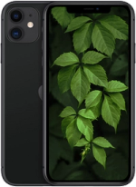 iPhone 11, Svart