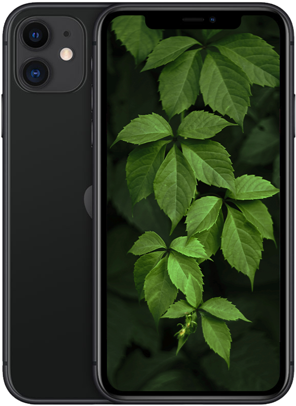 iPhone 11, Svart