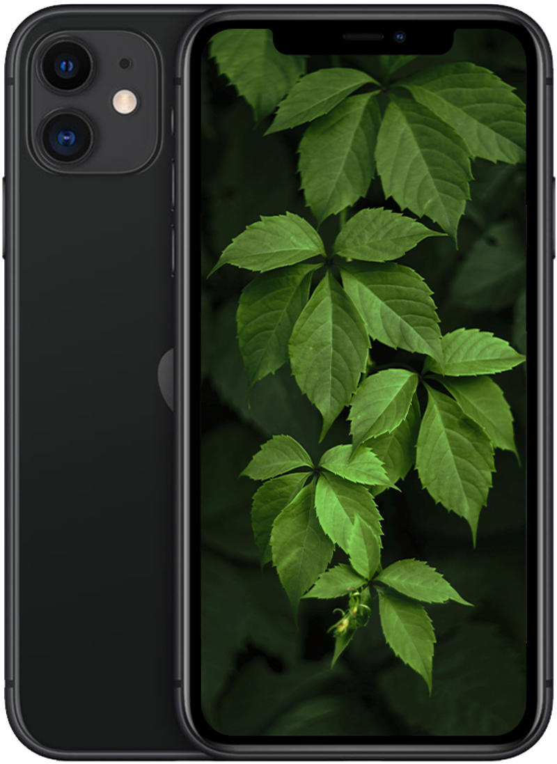 iPhone 11, Svart