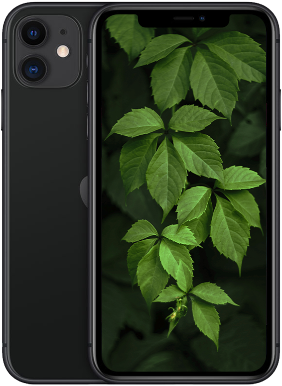iPhone 11, Svart