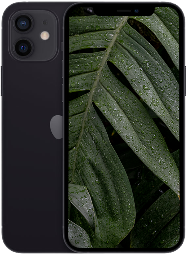 iPhone 12, Svart