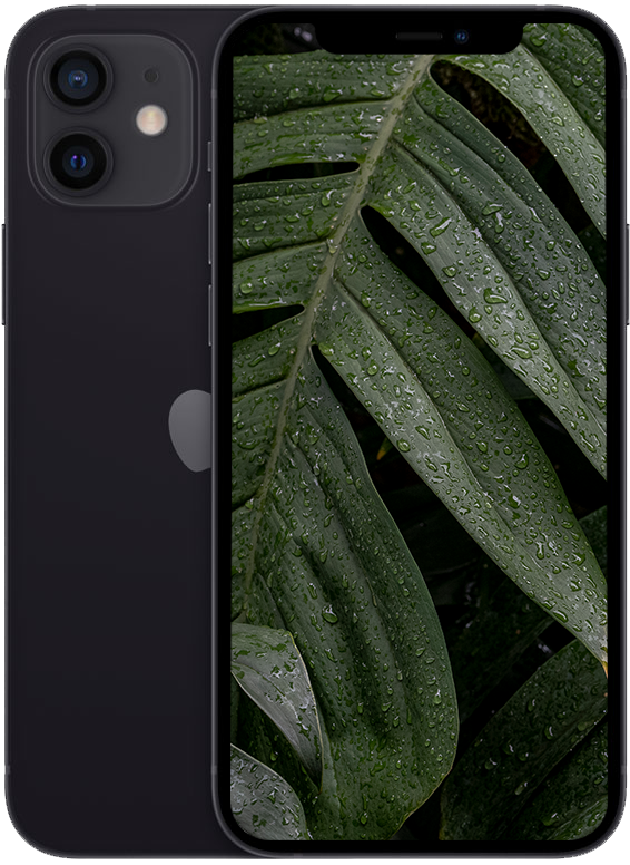 iPhone 12, Svart