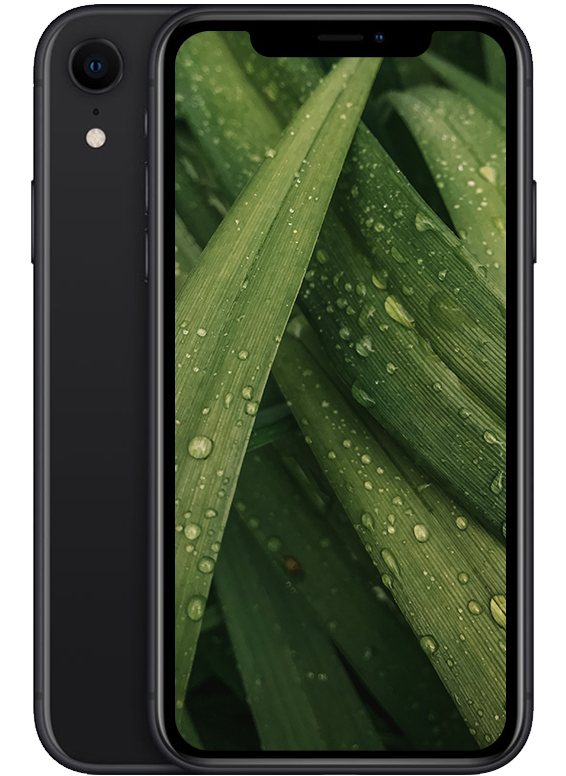 iPhone XR, Svart