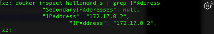Hello Nerd command to capture gRPC server IP Address