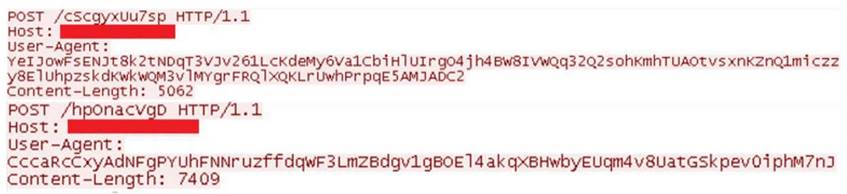 Figure 5: Screenshot of UnKnown DoSer attack traffic, demonstrating fields randomization