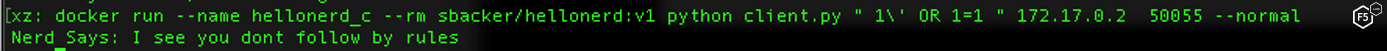 Hello Nerd command to launch exploit on unvalidated input