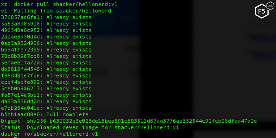 Hello Nerd command to pull down image from docker hub