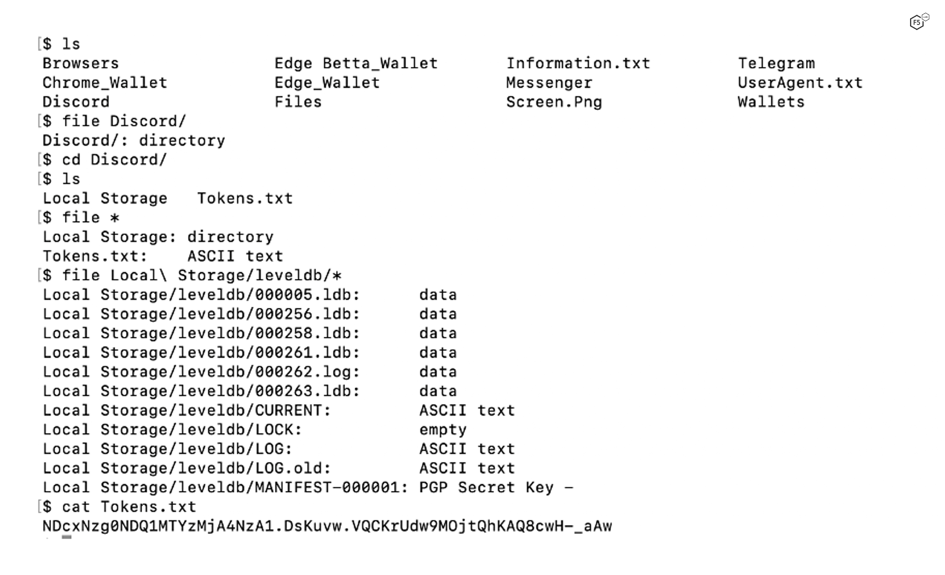 Figure 9. Stolen Discord data from a compromised system.