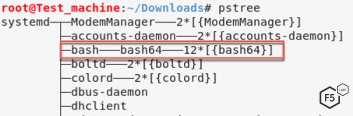 Figure 8. Screenshot showing the process tree and where the packed malware sits on it