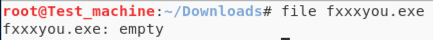 Figure 10. The downloaded file has no content