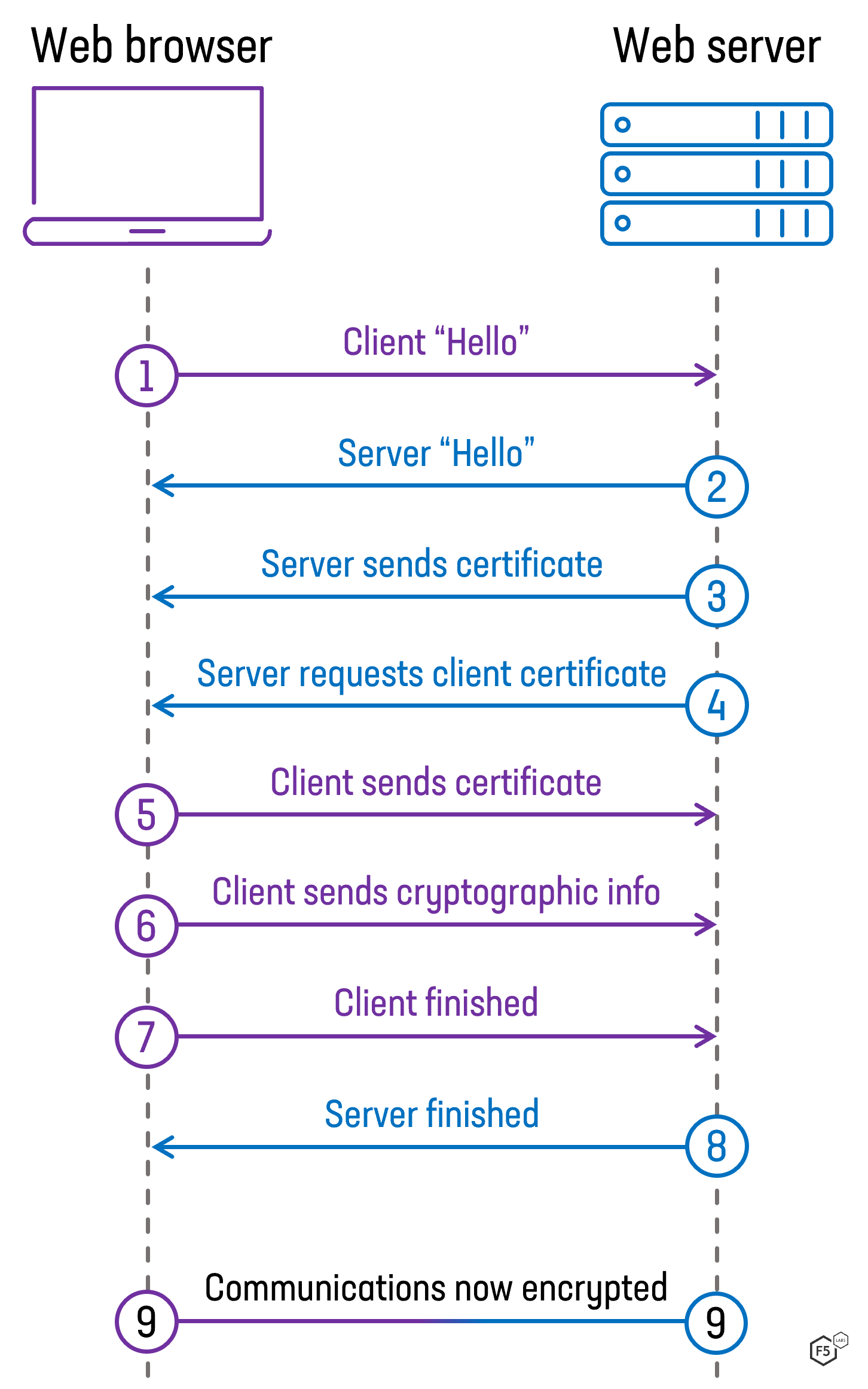 Steps during a TLS 1.2 handshake between the client and server when mutual TLS authentication is configured.