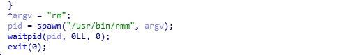 Figure 23. The code that is responsible for invoking the real “rm” command