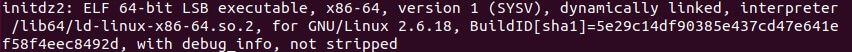 Figure 4: initdz2 is an ELF 64-bit executable file