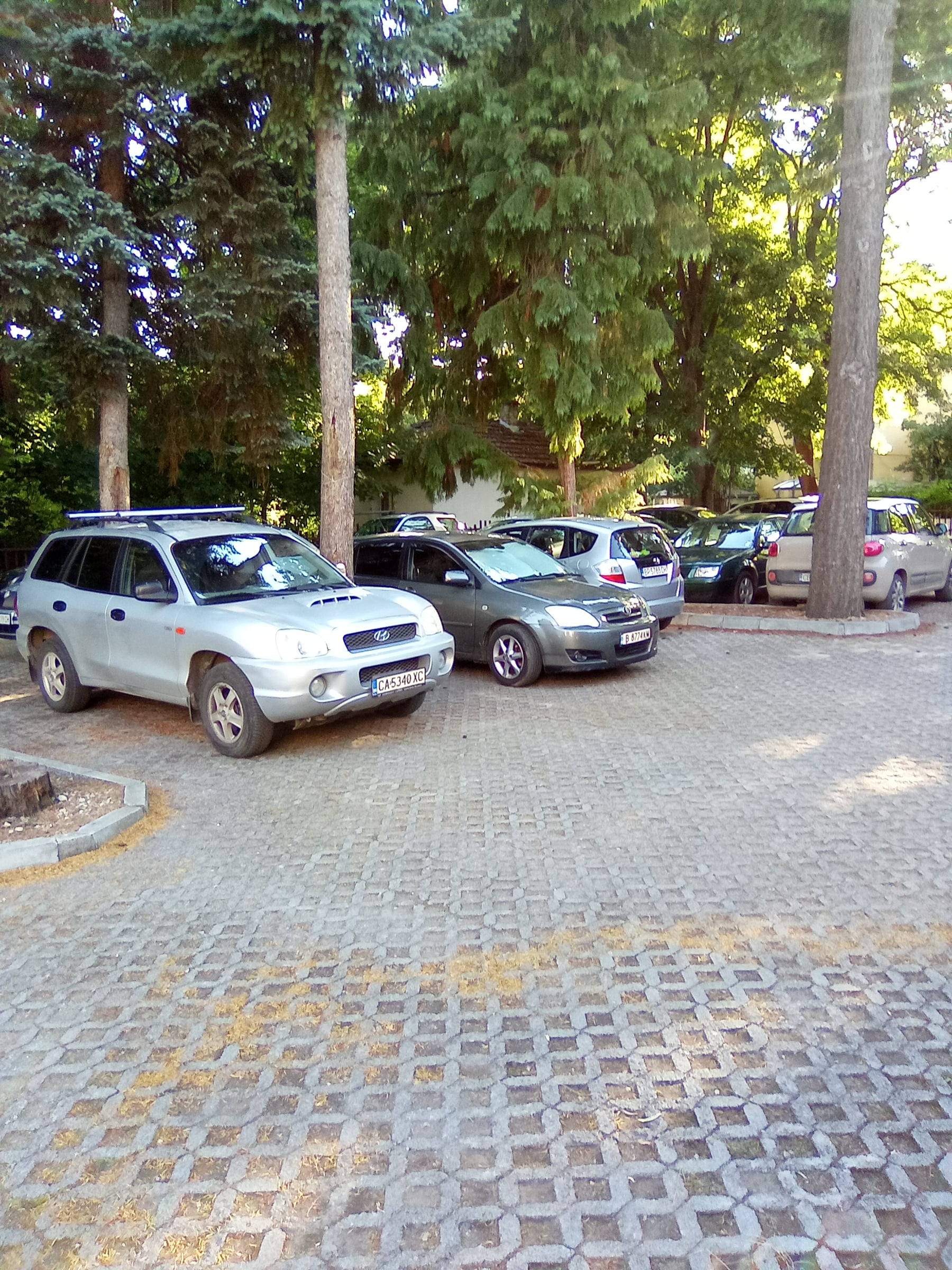 Cars parked on a paved car park under tall trees