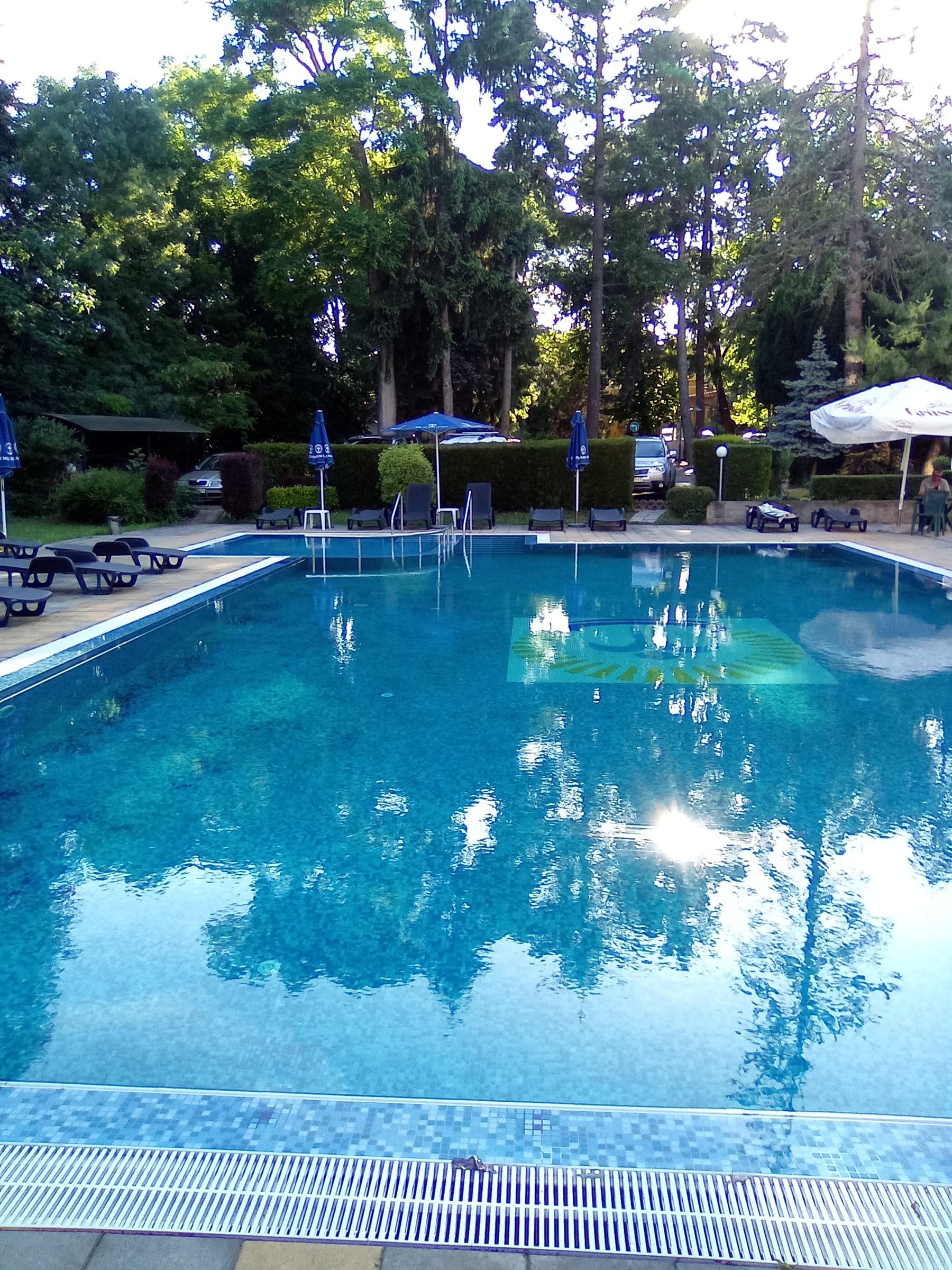 Rectangular outdoor pool reflecting tall trees, with sun umbrellas along the far side