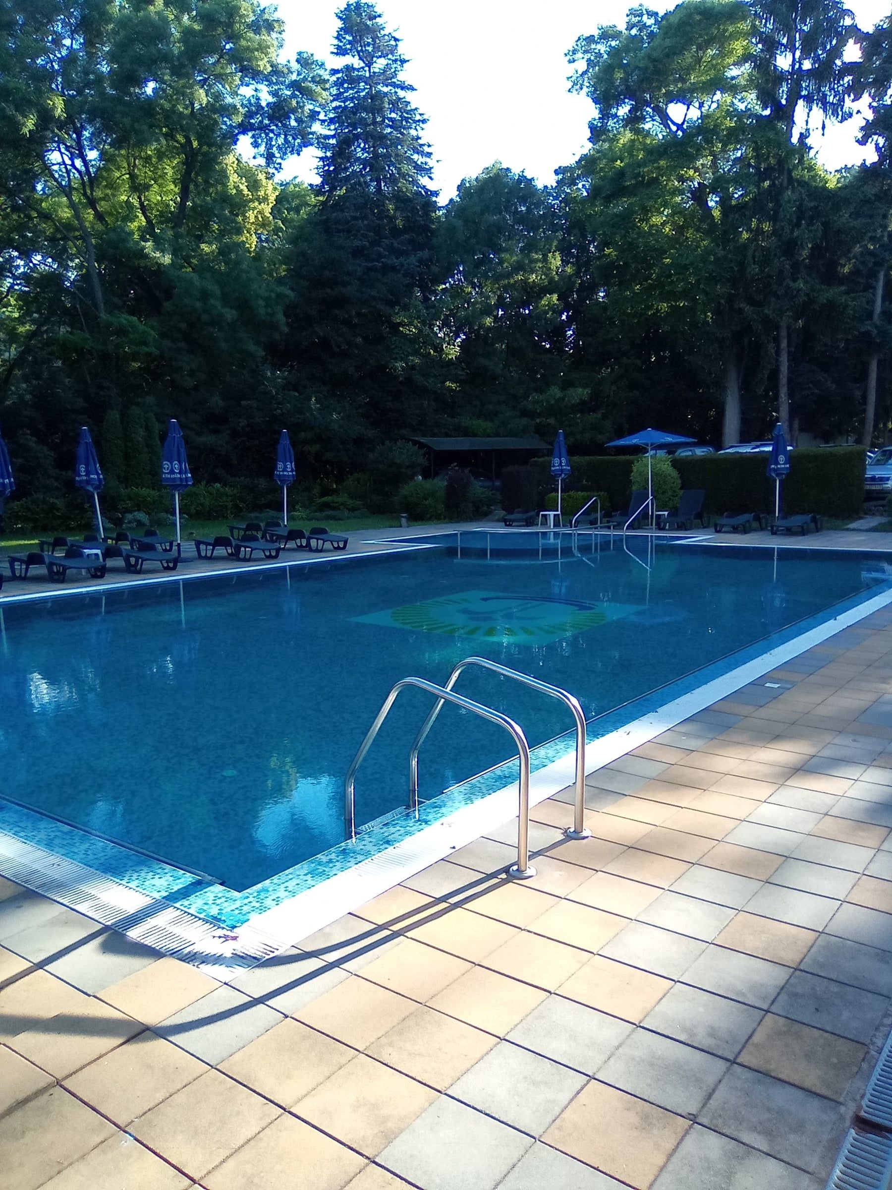 Outdoor pool with a metal ladder and stone tiles, lined by tall trees