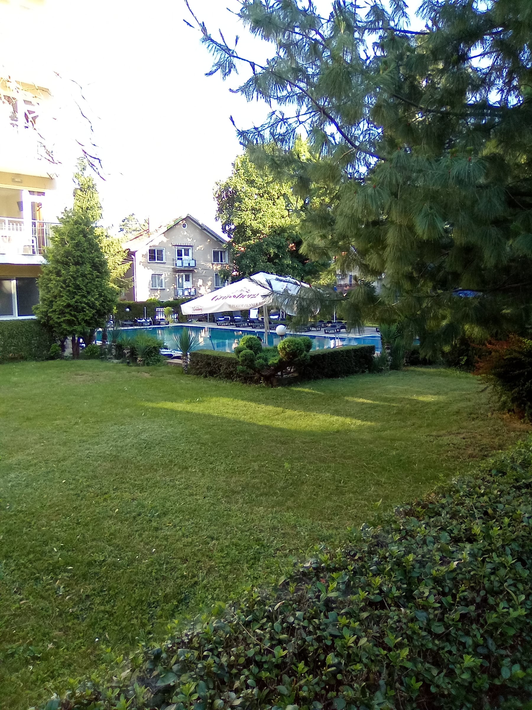 Sunny lawn with a hedge and trees, an outdoor pool and umbrellas in the distance