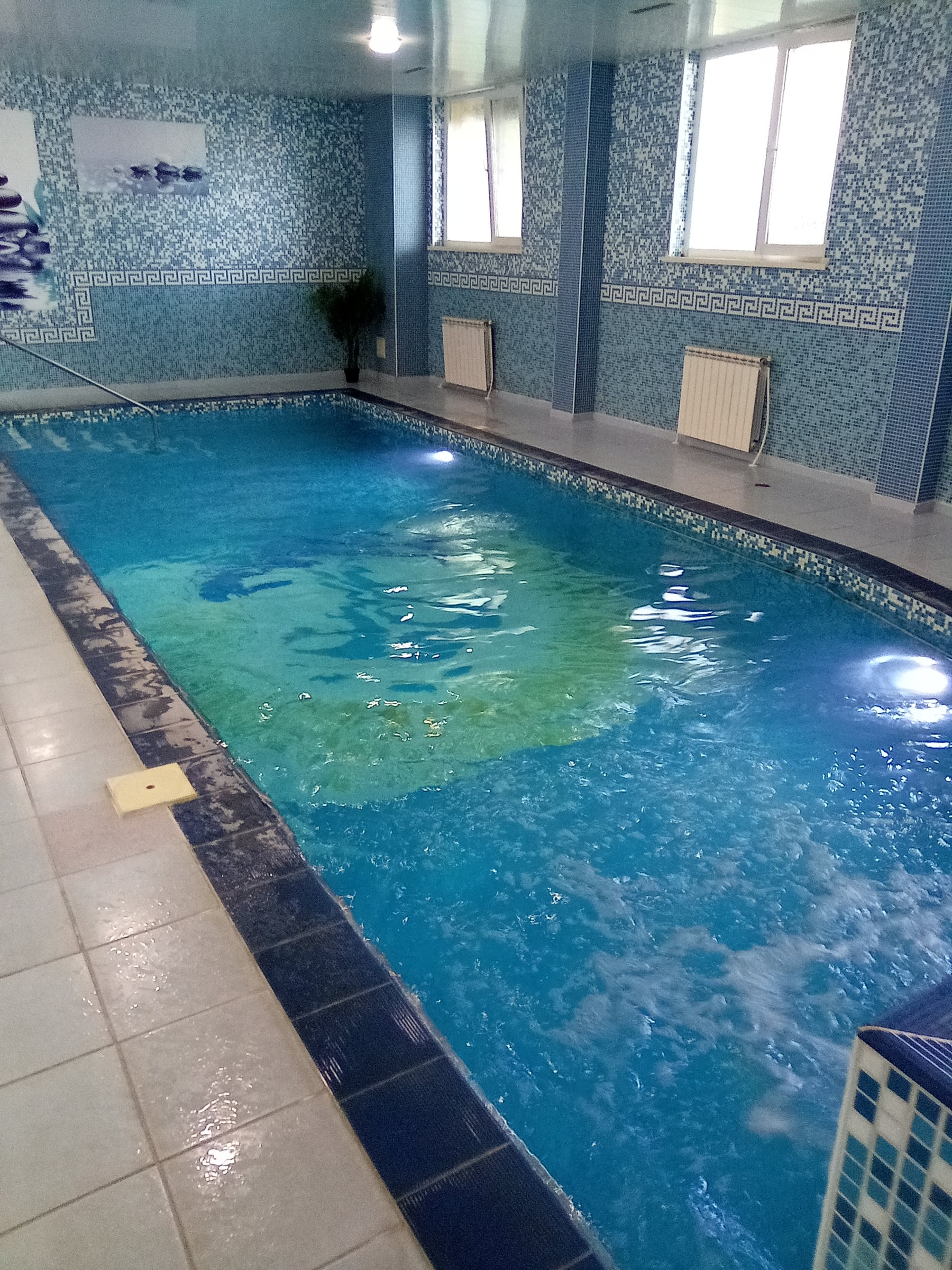 Indoor swimming pool with blue mosaic tiles and a dolphin pattern on the bottom