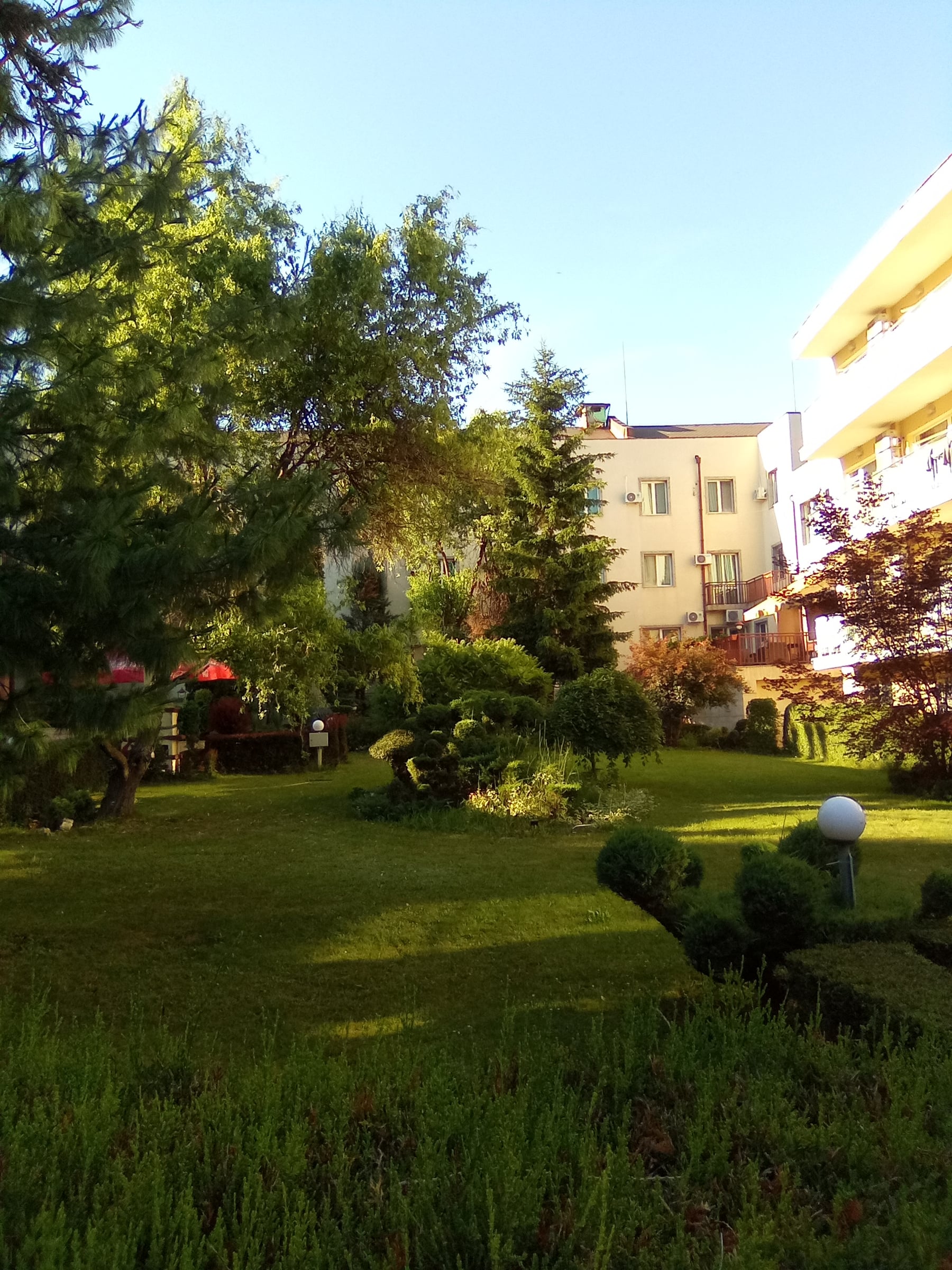 Garden with topiary and lawn, multi-storey hotel buildings behind trees