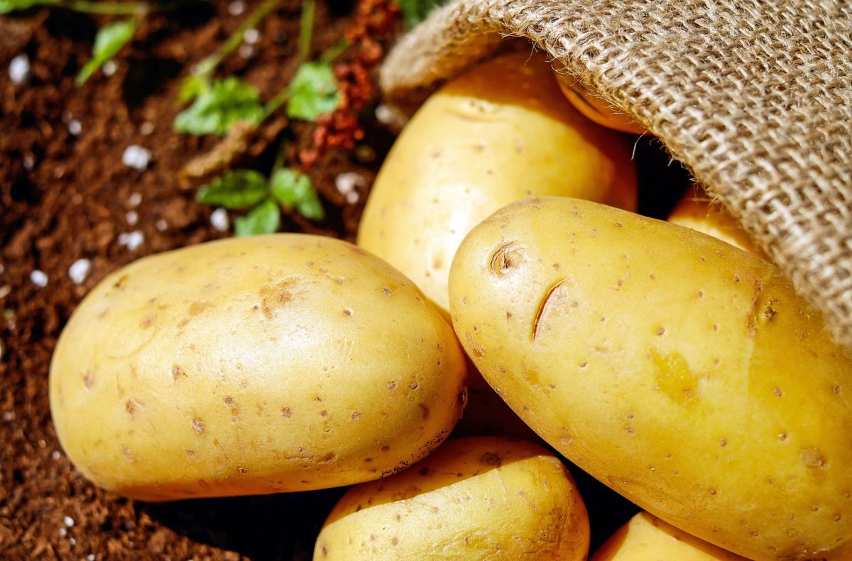 Aardappelen