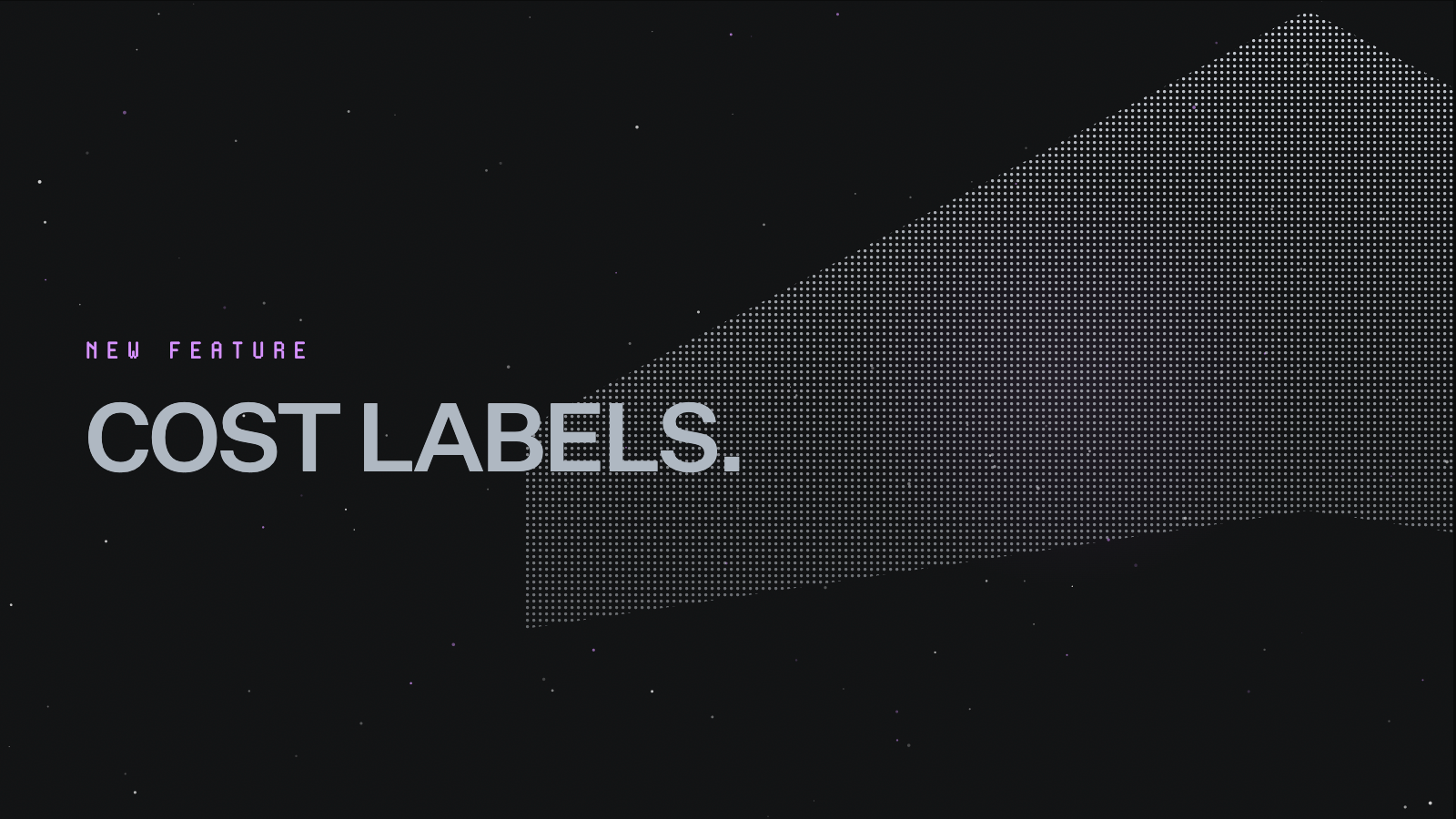 Coststreams now supports CostLabels