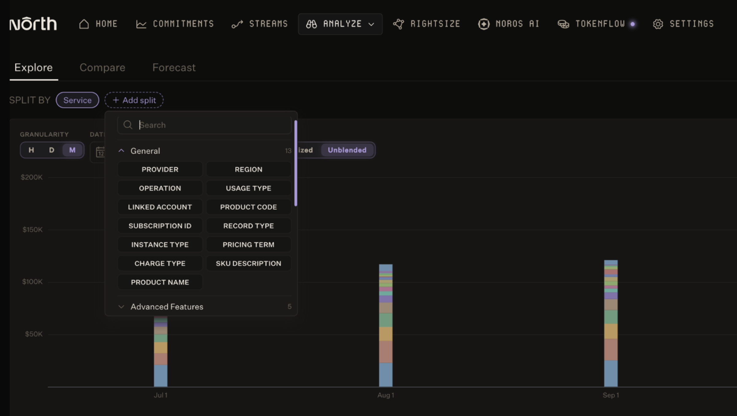 A view of some of the dimensions you can set for cloud, data, and AI spend visibility inside the North app.