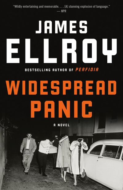 cover image of the book Widespread Panic