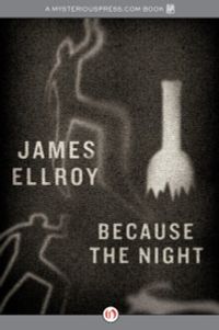 cover image of the book Because the Night