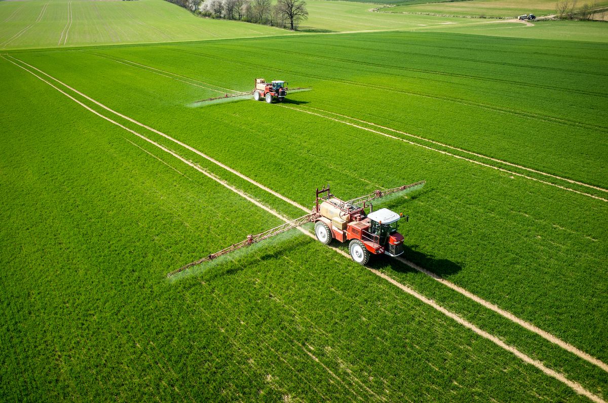 Something to Think About:  Fertilizer