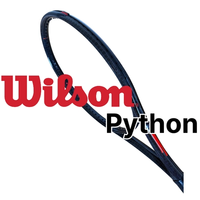 윌슨 파이썬 프리뷰 (Wilson Python Preview)