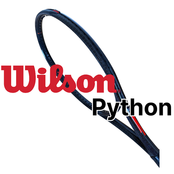 윌슨 파이썬 프리뷰 (Wilson Python Preview)