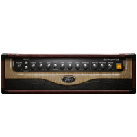 09 Peavey 3120 Rhythm