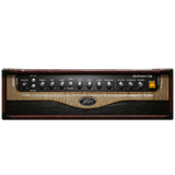 09 Peavey 3120 Rhythm