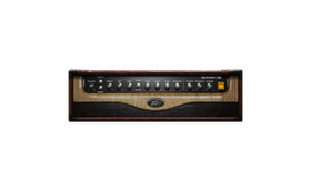 09 Peavey 3120 Rhythm