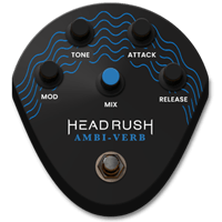 AMBI VERB