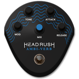 AMBI VERB