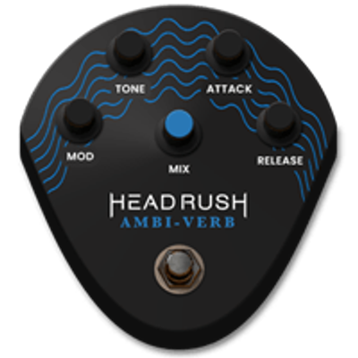 AMBI VERB