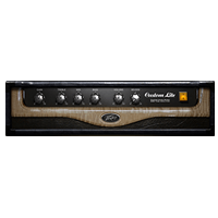 13 Peavey ValveKing II Lead