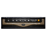 14 Peavey Custom Lite 20
