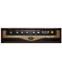 09 Peavey Masterpiece 50 Lead