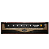 09 Peavey Masterpiece 50 Lead