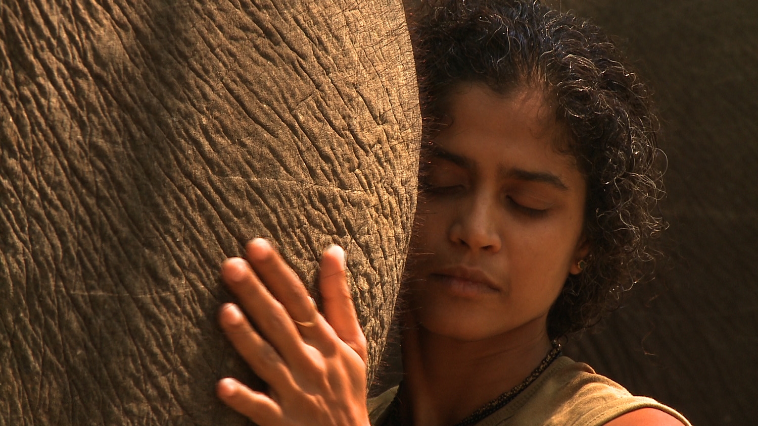 A Life Walking with Elephants: In Conversation with Prajna Chowta