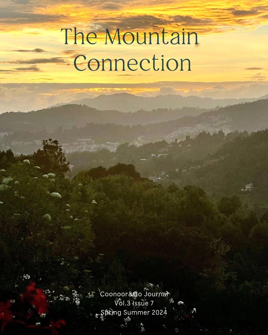 The Mountain Connection